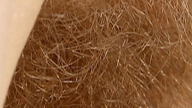 Blonde Pussy Galore - Hd Hairy Close-Up Action