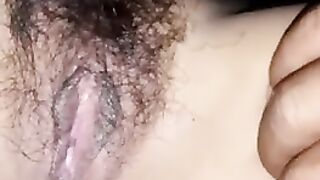 Panocha Peluda