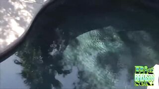 Busty Chavon Taylor Bbc Oral Sex By The Pool