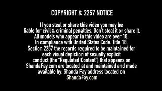 Cosplaying Cougar Shanda Fay Fucked By Paint & Body Guy