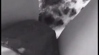 Pusssy Play